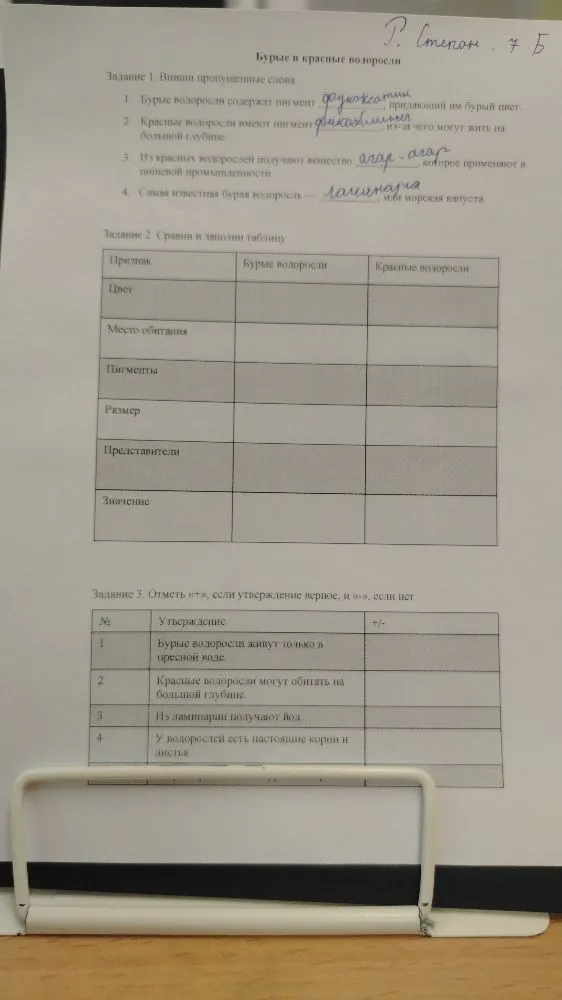 Бурые и красные водоросли. Задание 2. Сравни и заполни таблицу.