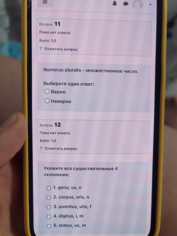 Numerus pluralis - множественное число. Выберите один ответ: