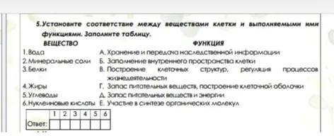 5.Установите соответствие между веществами клетки и выполняемыми ими функциями. Заполните таблицу.