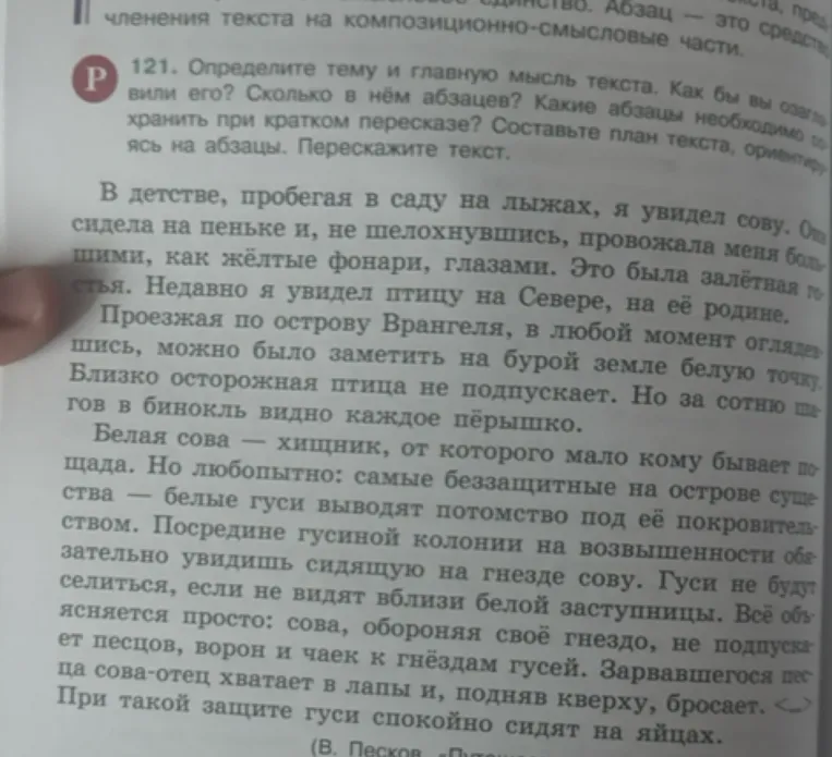 121. Определите тему и главную мысль текста. Как бы вы озаглавили его? Сколько в нём абзацев? Какие абзацы необходимо сохранить при кратком пересказе? Составьте план текста, ориентируясь на абзацы. Перескажите текст.