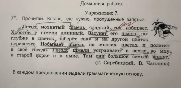 Прочитай. Вставь, где нужно, пропущенные запятые. В каждом предложении выдели грамматическую основу.