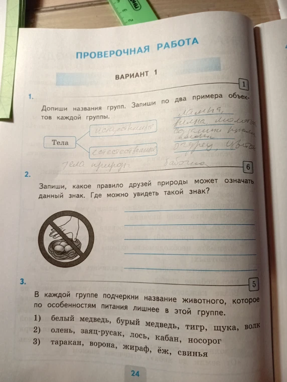 Допиши названия групп. Запиши по два примера объектов каждой группы.