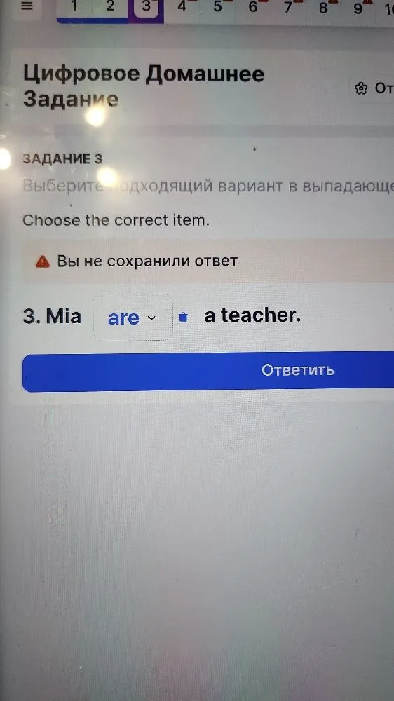 3. Mia are a teacher.