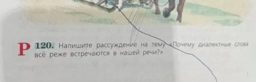 120. Напишите рассуждение на тему «Почему диалектные слова всё реже встречаются в нашей речи?»