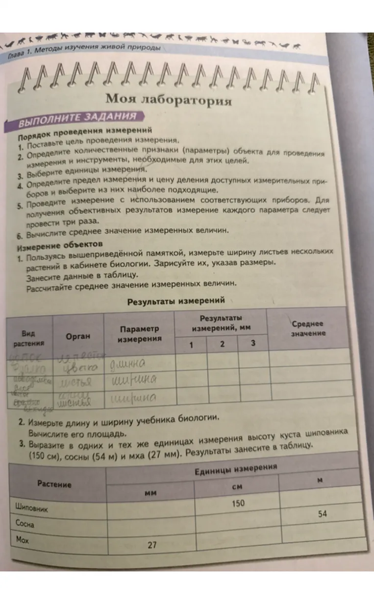 Пользуясь вышеприведённой памяткой, измерьте ширину листьев нескольких растений в кабинете биологии. Зарисуйте их, указав размеры. Занесите данные в таблицу.