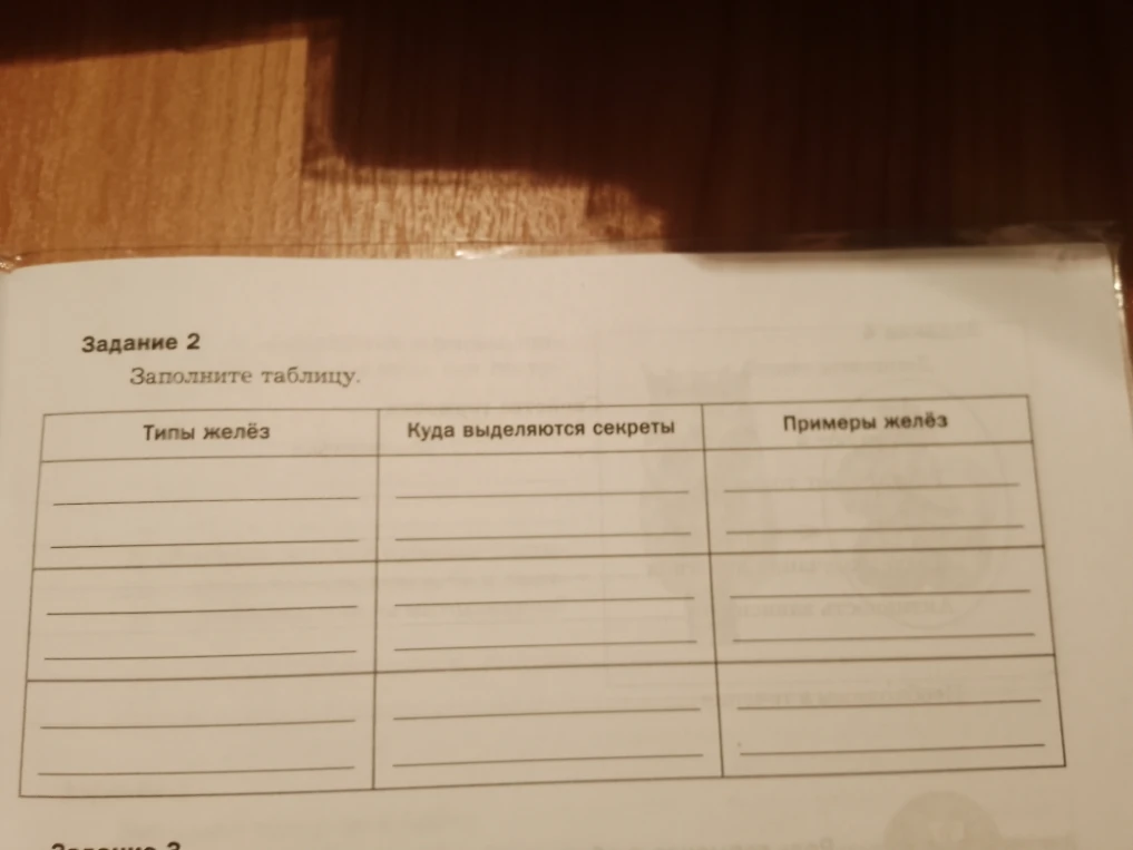 Задание 2: Заполните таблицу.