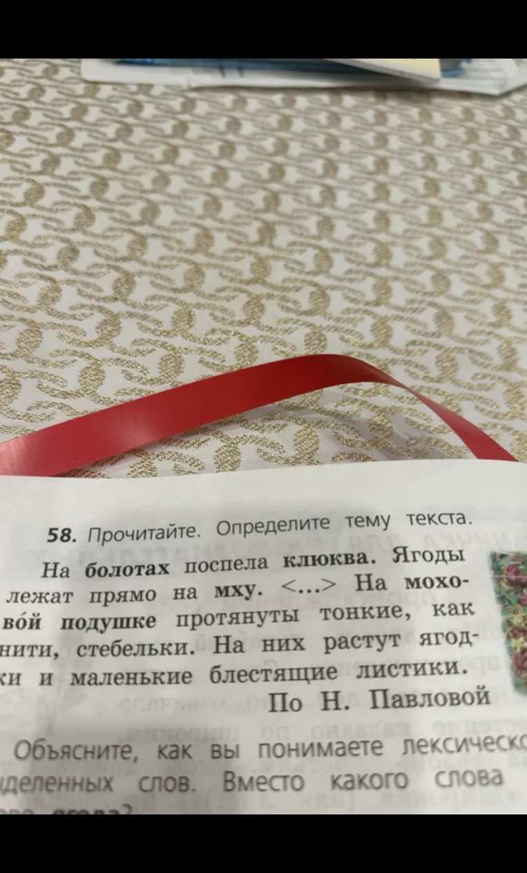 58. Прочитайте. Определите тему текста.