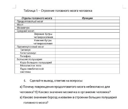 Таблица 1 – Строение головного мозга человека. 4. Сделайте вывод, ответив на вопросы: а) Почему повреждения продолговатого мозга небезопасно для человека? б) Каково значение мозжечка в организме человека? в) Каково значение борозд и извилин в строении больших полушарий головного мозга?