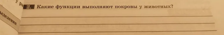 Какие функции выполняют покровы у животных?