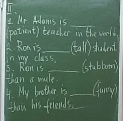 Mr Adams is (patient) teacher in the world
