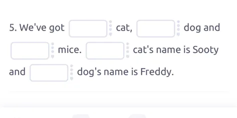 5. We've got a cat, a dog and some mice. The cat's name is Sooty and the dog's name is Freddy.
