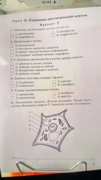 Тест 3. Строение растительной клетки. Вариант 2