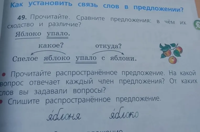 Прочитайте. Сравните предложения: в чём их сходство и различие? Яблоко упало. Спелое яблоко упало с яблони.