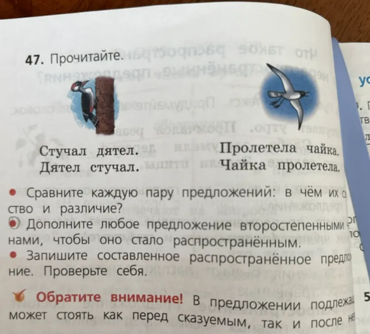 47. Прочитайте. Сравните каждую пару предложений: в чём их сходство и различие?