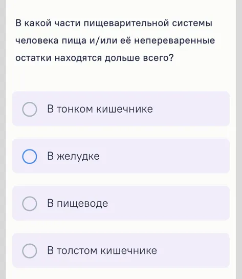 В какой части пищеварительной системы человека пища и/или её непереваренные остатки находятся дольше всего?