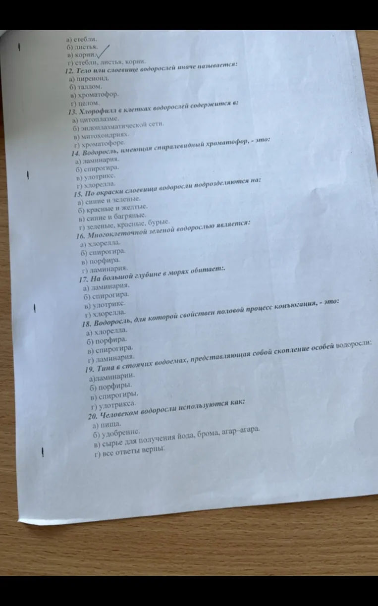 12. Тело или слоевище водорослей иначе называется: