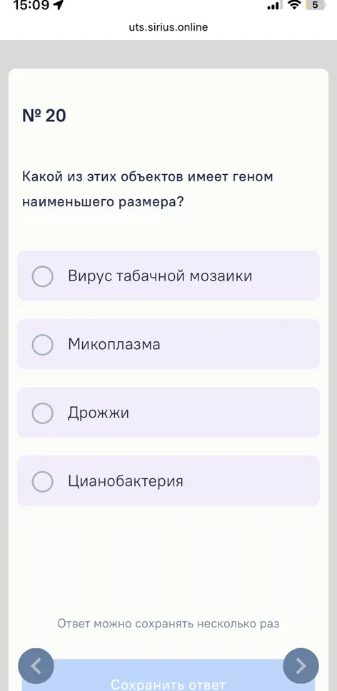 Что окрашено ярко-голубым цветом на фотографии гистологического препарата стенки трахеи?