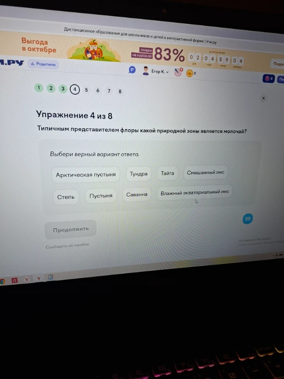 Типичным представителем флоры какой природной зоны является молочай?
