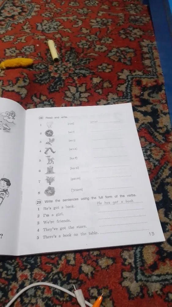 Read and write. Write the sentences using the full form of the verbs.