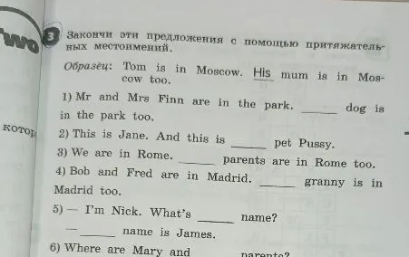 Закончи эти предложения с помощью притяжательных местоимений.
