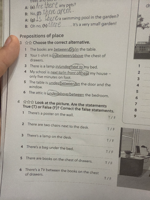 Look at the picture. Are the statements True (T) or False (F)? Correct the false statements.