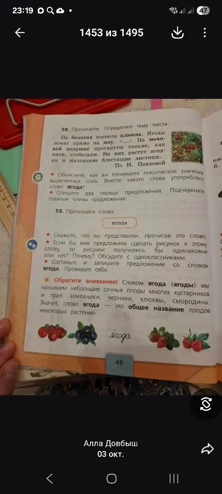 Прочитайте. Определите тему текста. На болотах поспела клюква. Ягоды лежат прямо на мху. ...