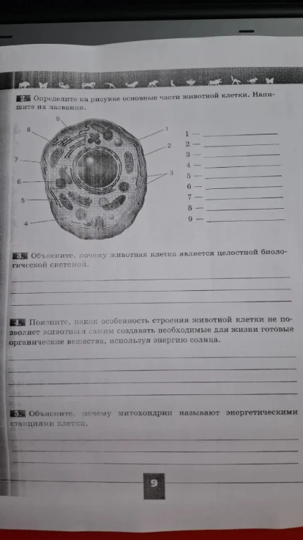 Определите на рисунке основные части животной клетки. Напишите их названия.