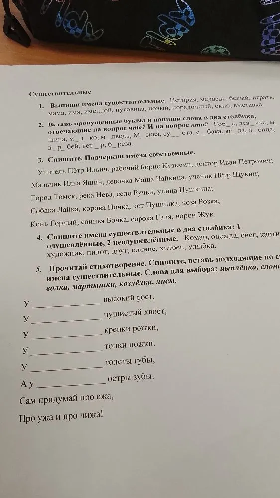 1. Выпиши имена существительные. История, медведь, белый, играть, мама, имя, именной, пуговица, новый, порядочный, окно, выставка.