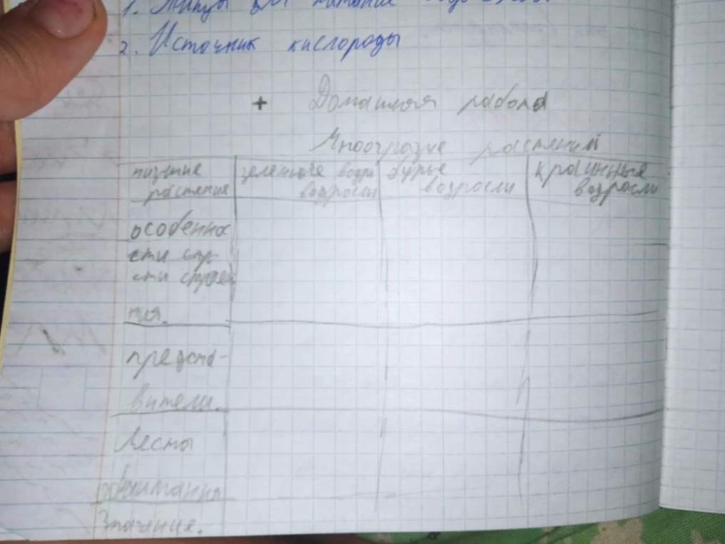 Домашняя работа: Многообразие растений