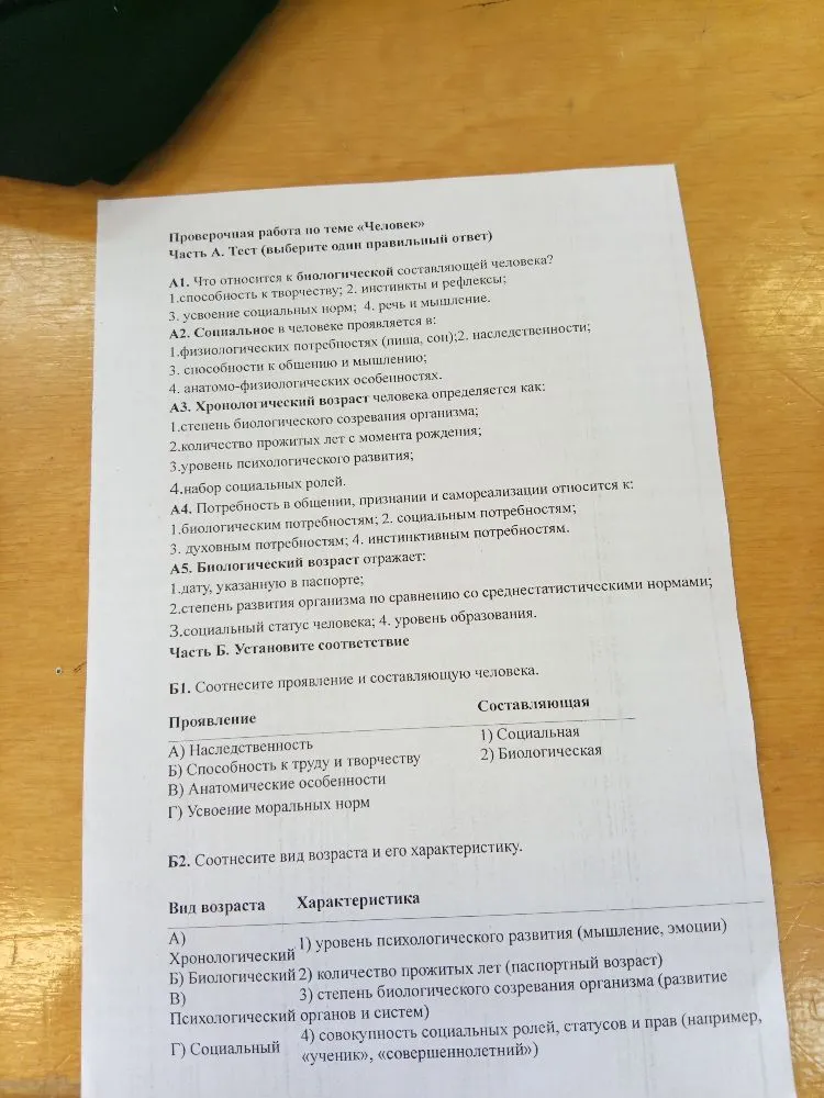 Проверочная работа по теме «Человек»
