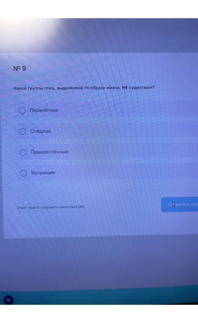 Какой группы птиц, выделяемой по образу жизни, НЕ существует?