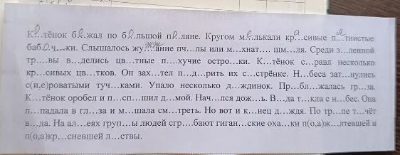 Котёнок бежал по большой поляне. Кругом мелькали красивые пятнистые бабочки. Слышалось жужжание пчелы или мохнатого шмеля.