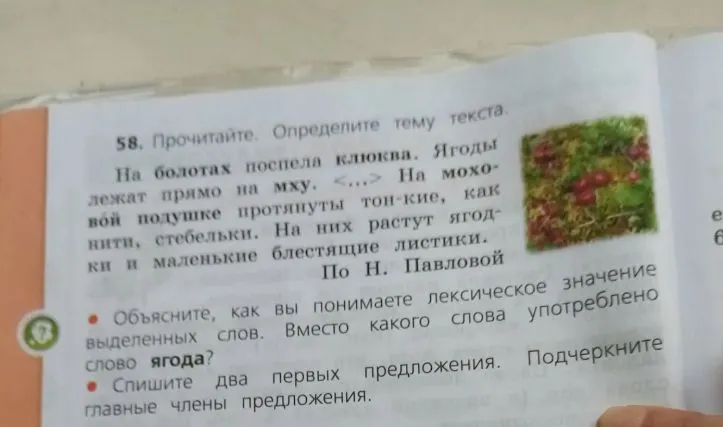 58. Прочитайте. Определите тему текста.