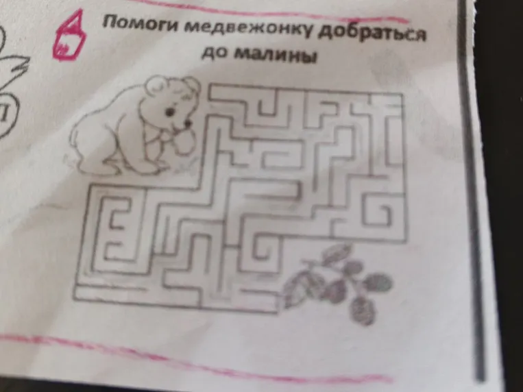Помоги медвежонку добраться до малины