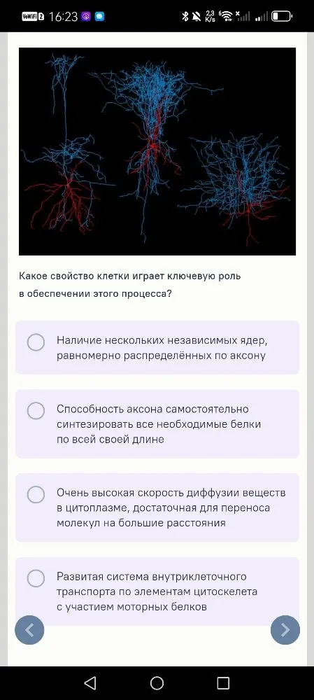 Какое свойство клетки играет ключевую роль в обеспечении этого процесса? № 10. Исследователи получили вещество, которое делает мембраны лизосом проницаемыми.