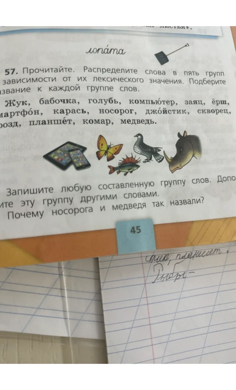 57. Прочитайте. Распределите слова в пять групп в зависимости от их лексического значения. Подберите название к каждой группе слов.