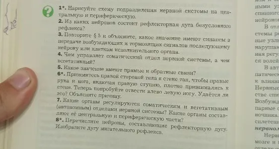 1*. Нарисуйте схему подразделения нервной системы на центральную и периферическую.