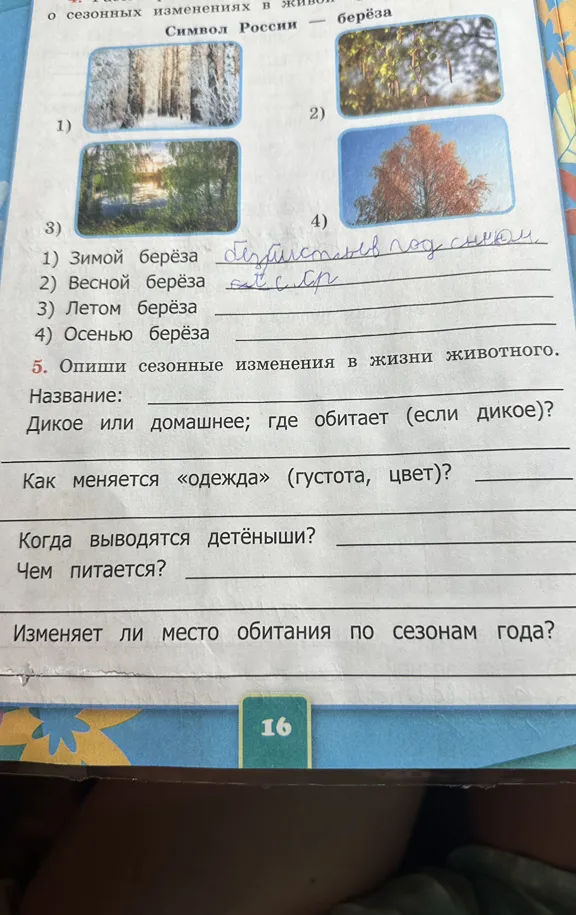 Опиши сезонные изменения в жизни животного.