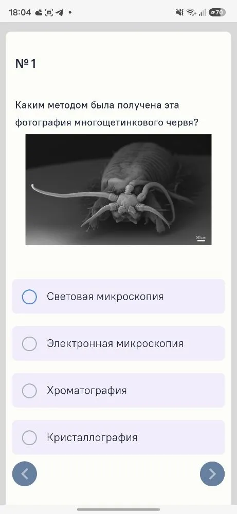 Каким методом была получена эта фотография многощетинкового червя?