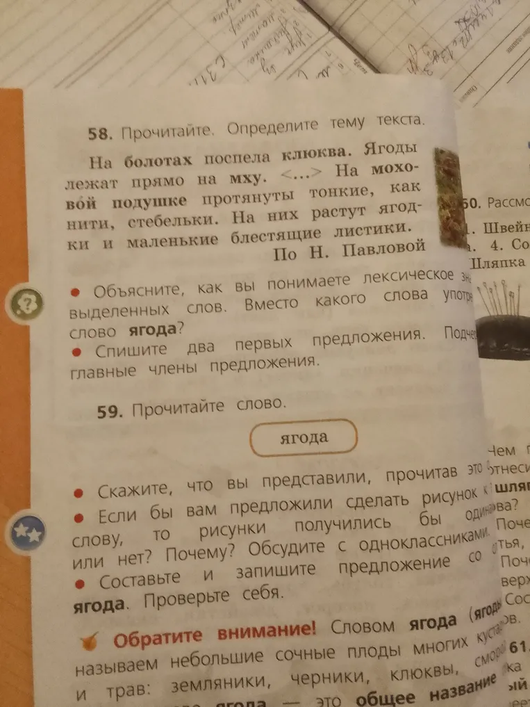 58. Прочитайте. Определите тему текста. На болотах поспела клюква. Ягоды лежат прямо на мху. <...> На моховой подушке протянуты тонкие, как нити, стебельки. На них растут ягодки и маленькие блестящие листики. По Н. Павловой