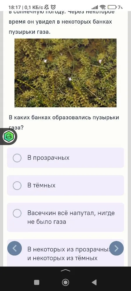 В каких банках образовались пузырьки газа?