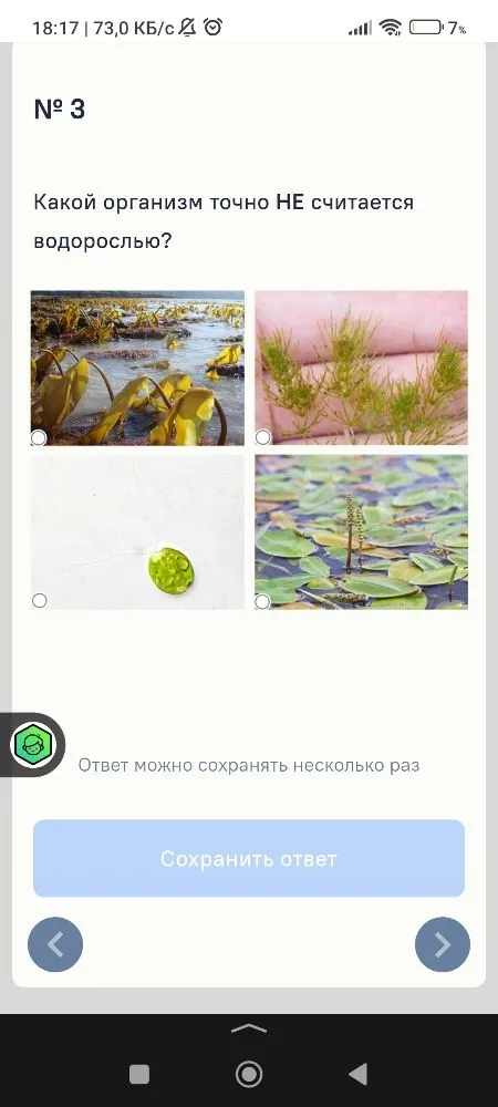 Какой организм точно НЕ считается водорослью?