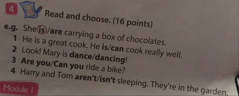 4 Read and choose. (16 points) e.g. She is/are carrying a box of chocolates.