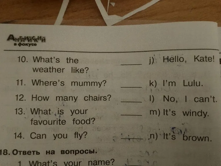 10. What's the weather like? 11. Where's mummy? 12. How many chairs? 13. What is your favourite food? 14. Can you fly?
