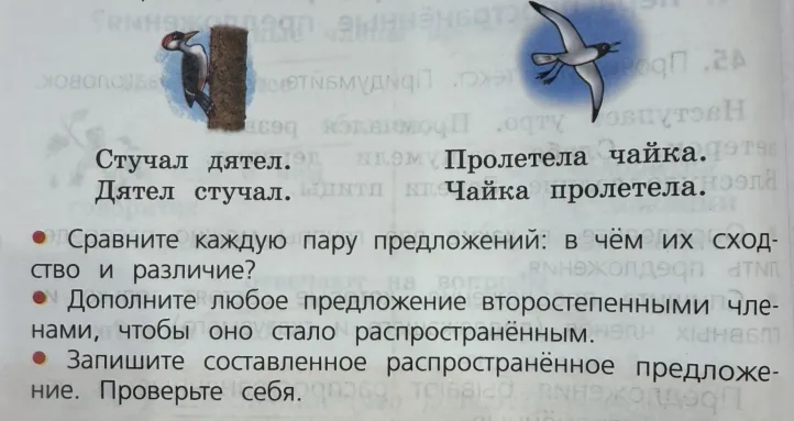 Сравните каждую пару предложений: в чём их сходство и различие? Дополните любое предложение второстепенными членами, чтобы оно стало распространённым.