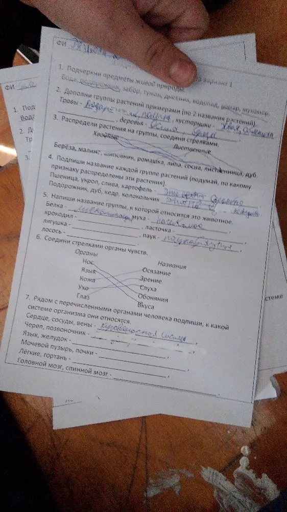 1. Подчеркни предметы живой природы.