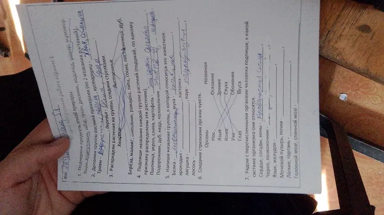 Подчеркни предметы живой природы: Вода, подорожник, забор, туман, дневник, водопад, комар, мухомор.