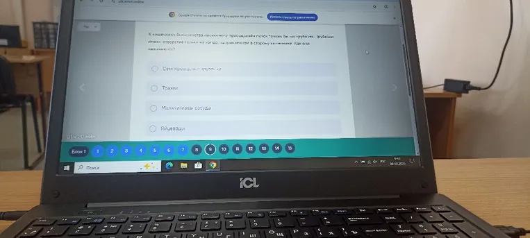 К кишечнику большинства насекомых присоединяется пучок тонких белых трубочек. Трубочки имеют отверстие только на конце, направленном в сторону кишечника. Как они называются?