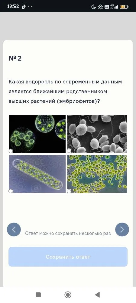 Какая водоросль по современным данным является ближайшим родственником высших растений (эмбриофитов)?