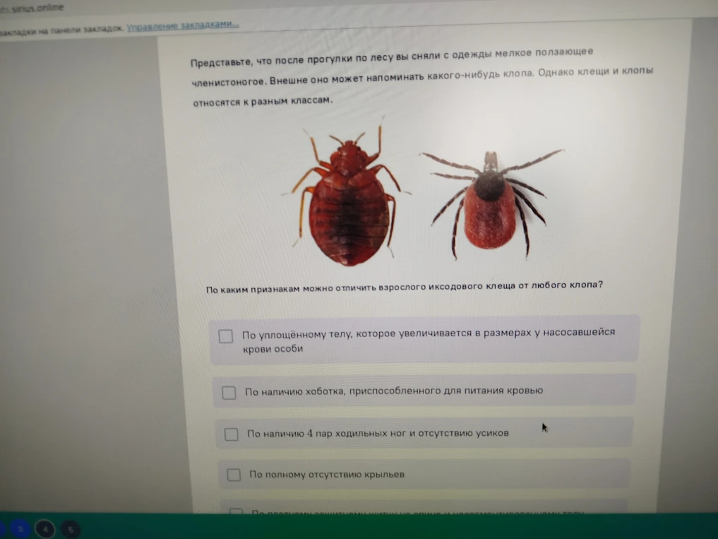Представьте, что после прогулки по лесу вы сняли с одежды мелкое ползающее членистоногое. Внешне оно может напоминать какого-нибудь клопа. Однако клещи и клопы относятся к разным классам. По каким признакам можно отличить взрослого иксодового клеща от любого клопа?
